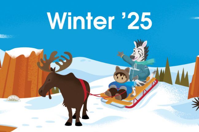 Novedades Salesforce Winter ’25